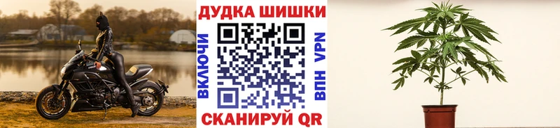 дарнет шоп  Ивангород  blacksprut ссылки  Бошки Шишки сатива 